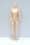 画像1: azone/ピュアニーモフレクション M/女の子 S-25-09-07-281-SK-ZS (1)