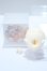 画像4: TinyFox/1/6ノーメイクヘッド S-25-09-07-252-YB-ZS (4)