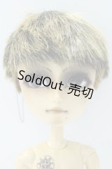 テヤン/カスタム S-26-02-08-525-SK-ZS