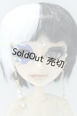 テヤン/カスタム S-25-11-16-383-SK-ZS