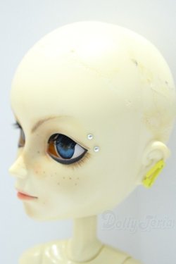 画像3: テヤン/カスタム S-25-09-14-023-SK-ZS