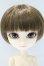画像1: イスル/白石秋羅 S-25-09-14-003-SK-ZS (1)