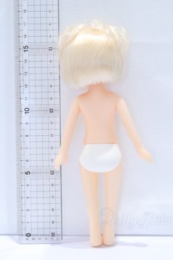 画像5: ジョシィn12 S-25-12-28-076-SK-ZS