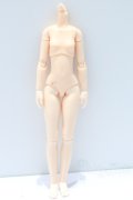 オビツ24/女の子ボディ  S-25-09-14-032-YB-ZS