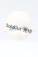 PARABOX/プチフェアリー 彩色済みヘッド(メイクA)ホワイティ S-26-01-25-407-SK-ZS