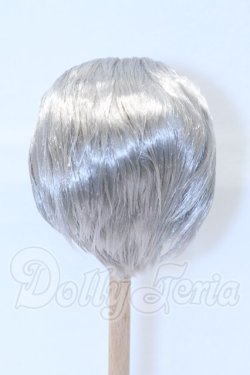 画像3: 8.5-9inch/ウィッグ S-26-02-22-012-SK-ZS