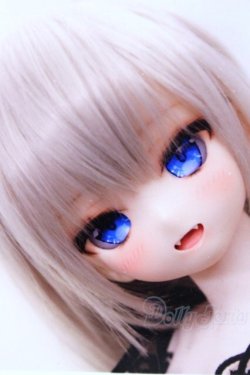 画像1: DD/DDH-10:木穂之工房様カスタム S-25-09-21-004-SK-ZS