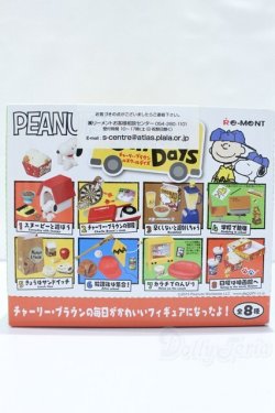 画像2: 1/6サイズドール/ミニチュア S-25-10-26-011-YB-ZS