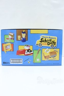 画像3: 1/6サイズドール/ミニチュア S-25-10-26-011-YB-ZS