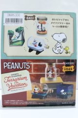 1/6サイズドール/ミニチュア S-25-10-26-014-YB-ZS