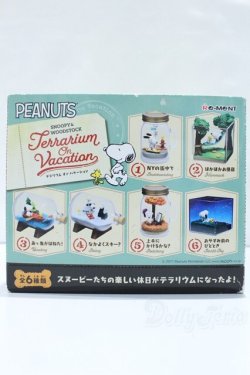 画像2: 1/6サイズドール/ミニチュア S-25-10-26-014-YB-ZS