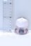 画像2: POP MART/SKULLPANDA Ancient Castle Series S-26-05-10-087-SK-ZS (2)