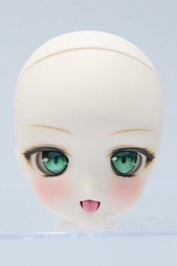 画像1: DD/DDH-27カスタムヘッド(暗黒騎士団様製) S-25-09-28-034-SK-ZS