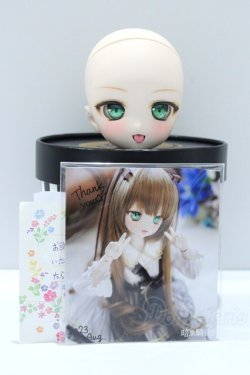 画像5: DD/DDH-27カスタムヘッド(暗黒騎士団様製) S-25-09-28-034-SK-ZS