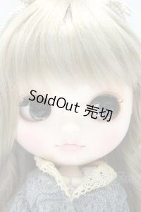 ネオブライス/asico様カスタム ヴィンターアルデン S-25-10-05-017-SK-ZS