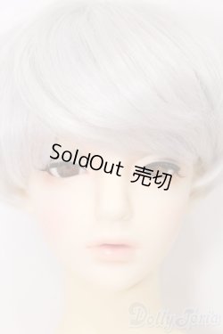 画像1: RSDOLL/EVAN ver.R S-26-07-26-541-SK-ZS