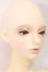 画像4: RSDOLL/EVAN ver.R S-25-10-19-052-SK-ZS