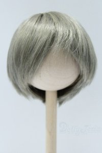 8inch/ウィッグ S-25-12-14-374-SK-ZS