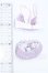 画像2: azone/OF:AZO2ふわふわ☆ランジェリーset S-26-05-10-099-SK-ZS (2)