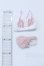 画像2: azone/OF:AZO2ふわふわ☆ランジェリーset S-26-01-11-030-SK-ZS (2)