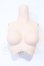 画像1: DDS/DDS-B-01 上半身パーツ-M胸:フレッシュ S-26-03-08-091-SK-ZS (1)