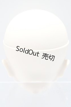 画像4: DD/月姫:アルクェイド・ブリュンスタッド　ヘッド S-25-10-05-043-SK-ZS