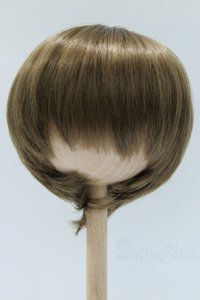 8-9inch/ウィッグ S-25-12-14-364-SK-ZS