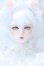 画像1: RSDOLL/New EVAN White Cat ver. Limited body S-26-05-03-051-YB-ZS (1)