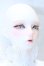 画像4: RSDOLL/New EVAN White Cat ver. Limited body S-26-05-03-051-YB-ZS (4)