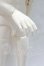 画像9: RSDOLL/New EVAN White Cat ver. Limited body S-26-05-03-051-YB-ZS (9)
