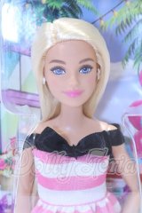 Barbie/バービー65?　ハッピーピンクアニバーサリー? S-26-02-22-059-SK-ZS