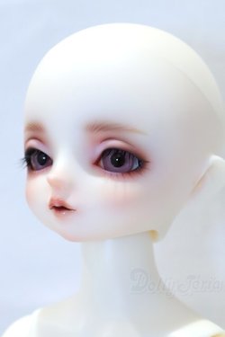 画像2: SDMGIRL/フルチョイス:F-80 S-26-02-01-003-YB-ZS