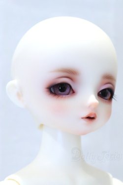 画像3: SDMGIRL/フルチョイス:F-80 S-26-02-01-003-YB-ZS