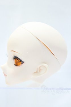 画像3: DD/DDH-09 金魚様カスタム S-25-10-26-001-SK-ZS