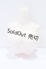 DD/DD3-B-02-SW 上半身パーツ・L胸 S-25-12-28-063-SK-ZS