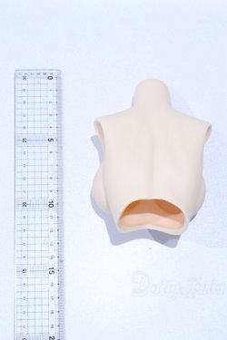 画像2: DD/DD3-B-02-SW 上半身パーツ・L胸 S-25-12-28-063-SK-ZS