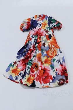 画像1: SDM＆MSD/OF:ワンピース S-26-02-08-073-SK-ZS