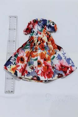 画像2: SDM＆MSD/OF:ワンピース S-26-02-08-073-SK-ZS