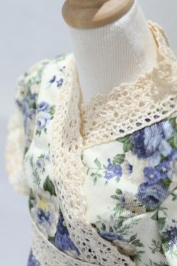 画像4: SD/OF:ワンピース S-26-01-25-096-SK-ZS