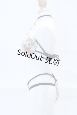 画像2: DD/OF:RoseLapin様製 下着・アクセサリーセット S-26-01-04-085-SK-ZS