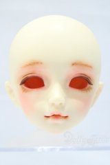 SDM/F-20 ヘッド S-25-11-02-008-SK-ZS