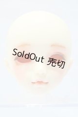 SDM/F-20 ヘッド S-25-11-02-008-SK-ZS