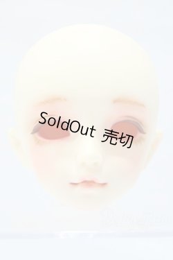 画像1: SDM/F-20 ヘッド S-25-11-02-008-SK-ZS