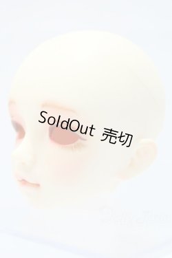 画像2: SDM/F-20 ヘッド S-25-11-02-008-SK-ZS