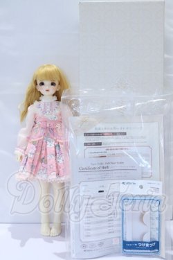 画像6: SDM/フルチョイス F-44 S-26-04-05-003-YB-ZS