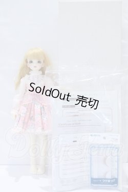 画像6: SDM/フルチョイス F-44 S-26-04-05-003-YB-ZS