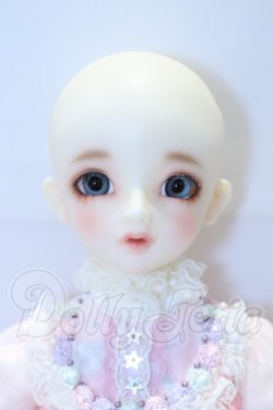 画像7: SDM/フルチョイス F-44 S-26-04-05-003-YB-ZS