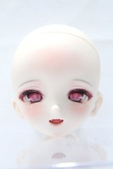 DD/DDH-10 ツキノメルト様カスタム S-25-11-16-001-SK-ZS