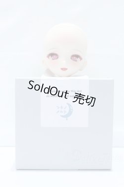 画像5: DD/DDH-10 ツキノメルト様カスタム S-25-11-16-001-SK-ZS