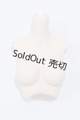 DD/上半身パーツ S-25-12-21-013-SK-ZS